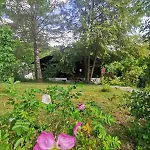 Apartamento Himmelberg11 Thalfang